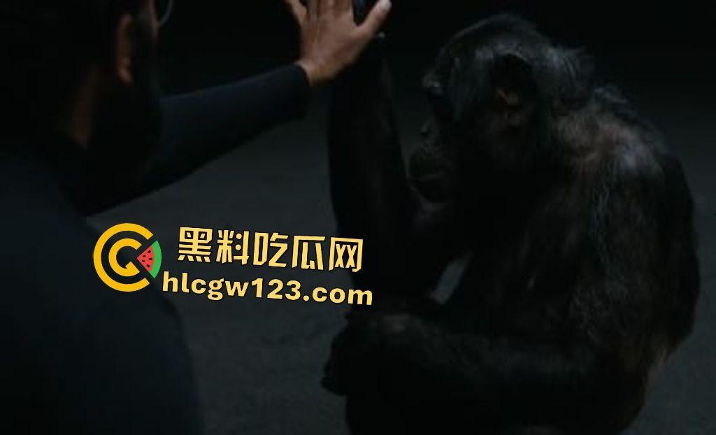 Yo，《评估》这末世神片吓得头皮发麻！生育权噩梦，人性深渊炸裂！  第4张