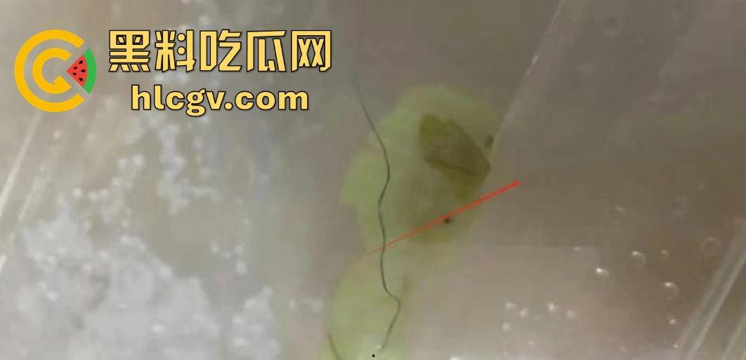 小仙女白嫖神操作！没舔狗付钱，竟拔逼毛栽赃商家，老板看傻眼！  第4张