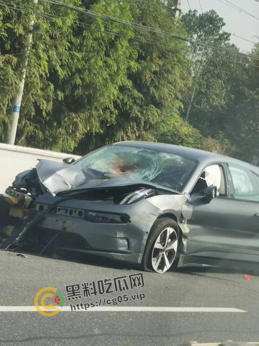 浙江极氪001撞死横穿马路路人 人头分离 整个脑浆撞出来了 现场血腥画面报告  第1张