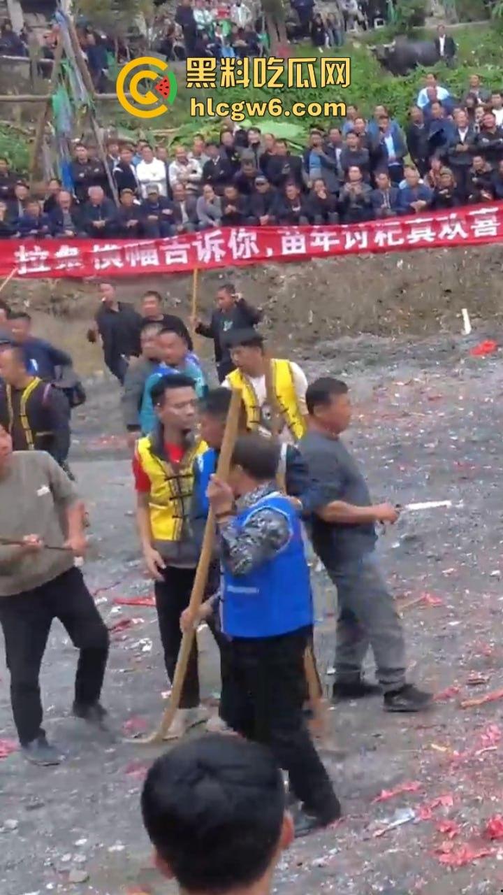 牛王陨落！贵州七十二寨斗牛王小山虎与神威大将军相撞同亡 残忍现场视频流出  第9张