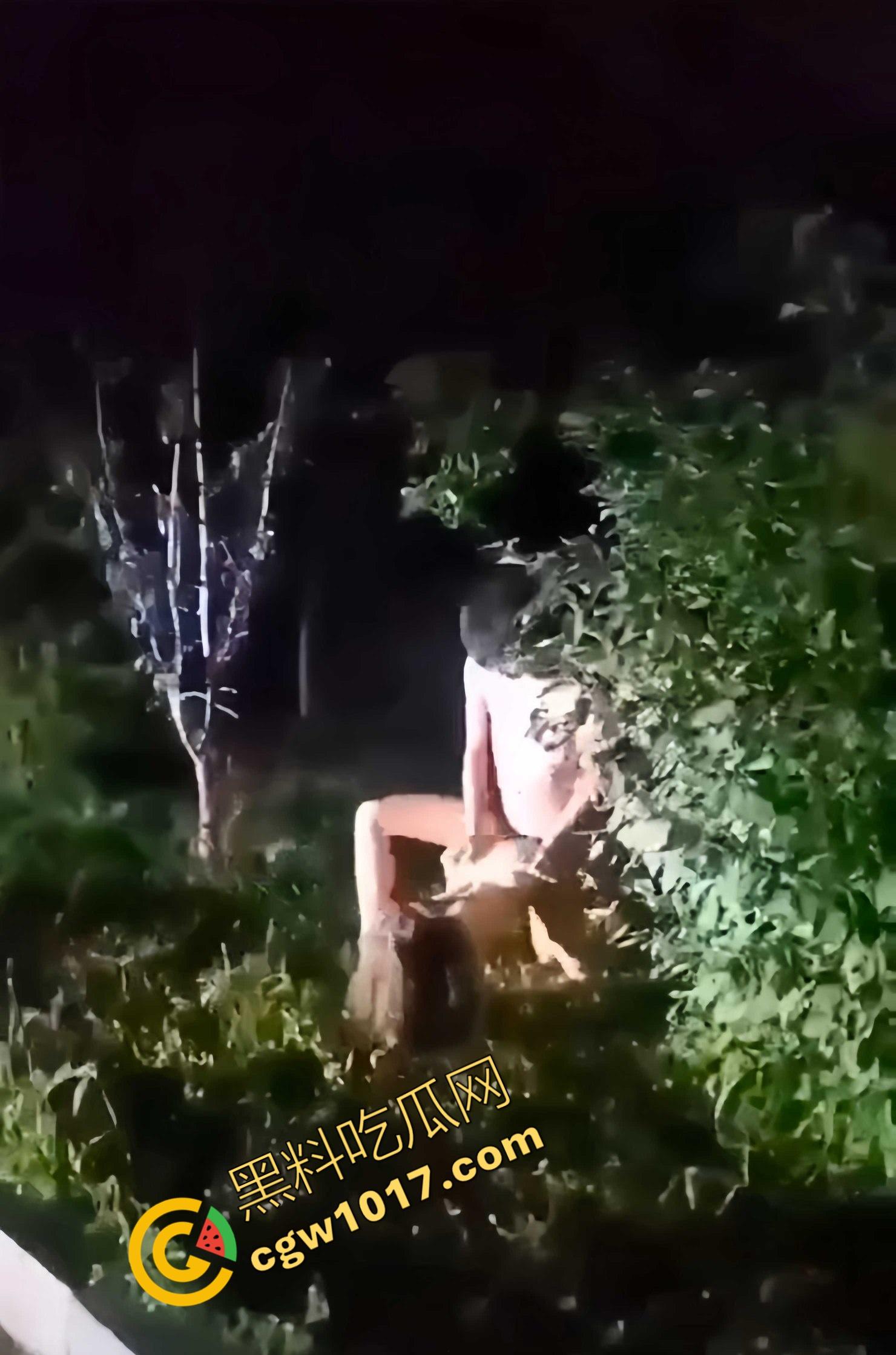 赤裸情侣路灯下野战！小哥疯狂后入，女友淫荡浪叫，惊爆路人眼球，视觉与听觉的双重冲击  第5张