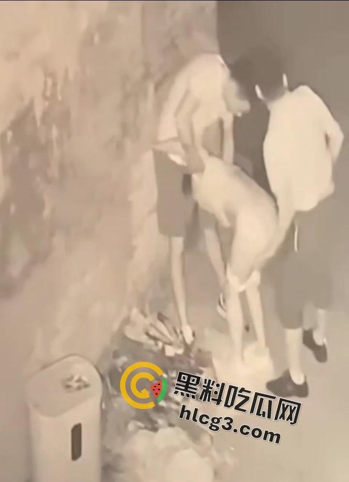 山东师范大学美女学生『薛菲』街头醉酒后被两人拉至路边强奸  被两男子插嘴后入 第6张