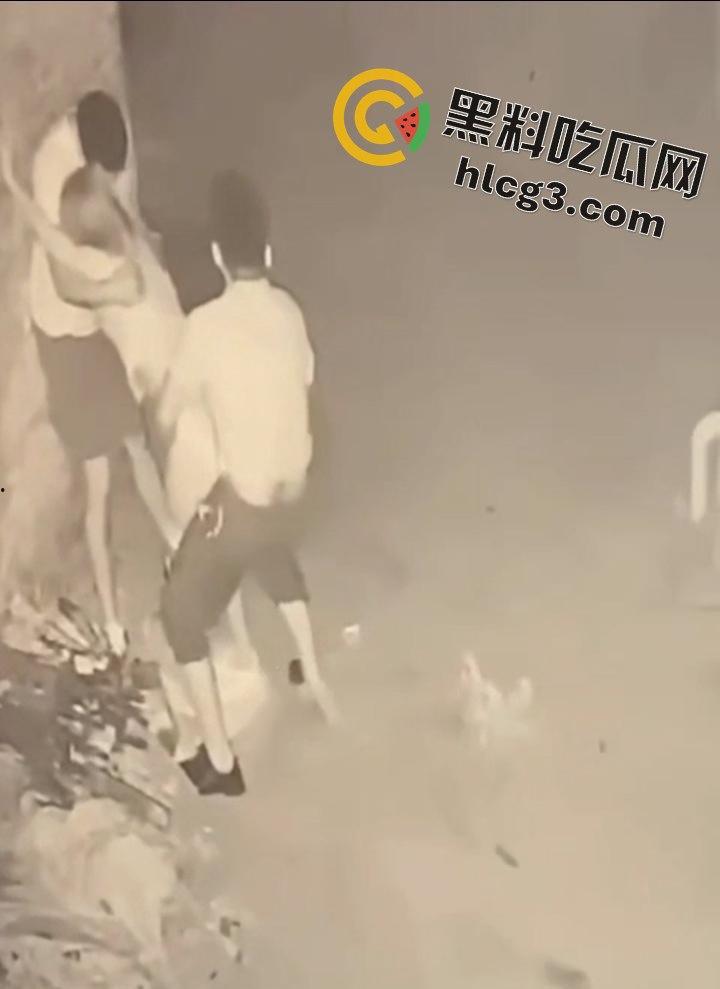 山东师范大学美女学生『薛菲』街头醉酒后被两人拉至路边强奸  被两男子插嘴后入 第11张