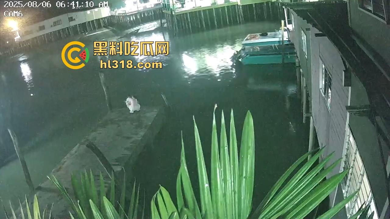 马来西亚母携女跳海轻生,疑似家庭纠纷和争夺抚养权问题，这女真狠啊，自己想不开还带上自己女儿！  第3张