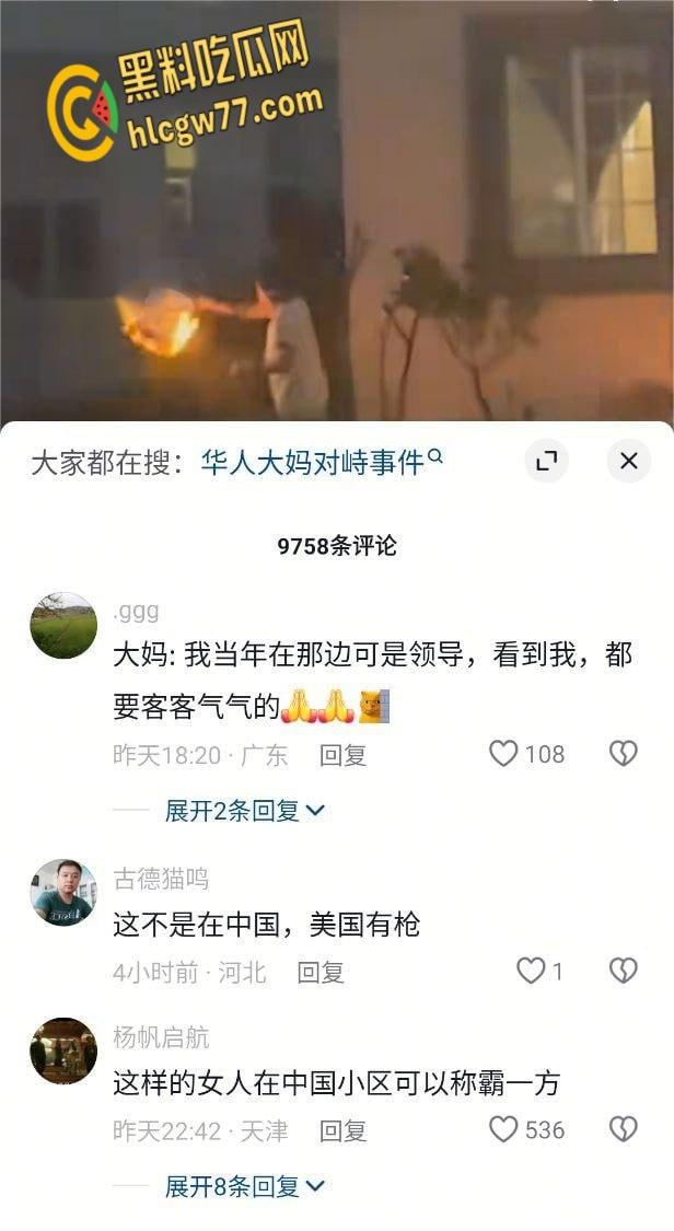 洛杉矶华裔女子纵火袭邻居 持刀拒捕被警方当场击毙 现场视频曝光  第1张