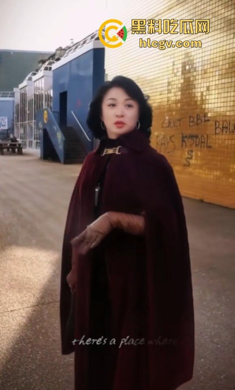 【金星】之流的苍蝇如果只是在屎上爬！那没人管你  可要是坚持飞到桌子上就必须彻底拍死！ 第13张