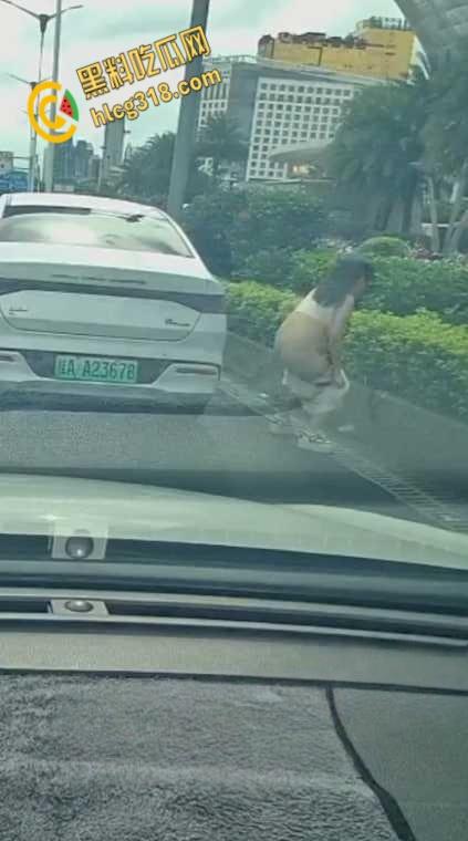 广西南宁街边桂A23678，车上女子下车蹲在马路上，脱掉连衣裙就开始拉！  第4张