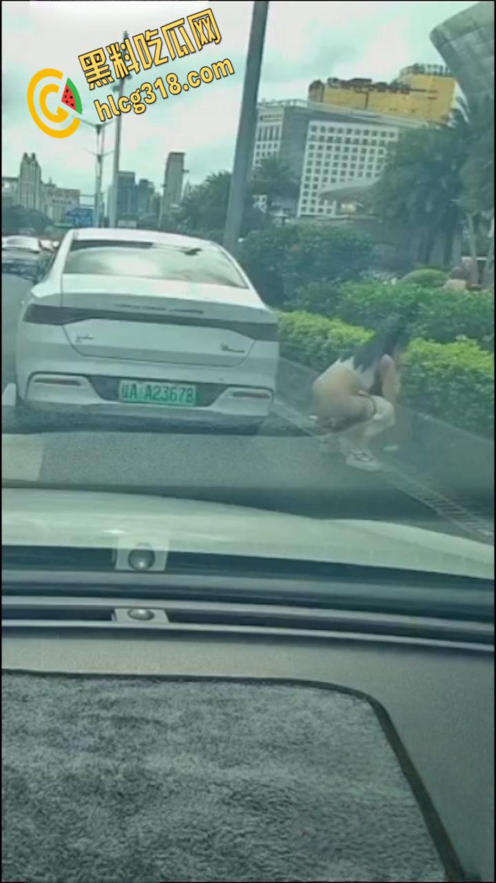 广西南宁街边桂A23678，车上女子下车蹲在马路上，脱掉连衣裙就开始拉！  第7张