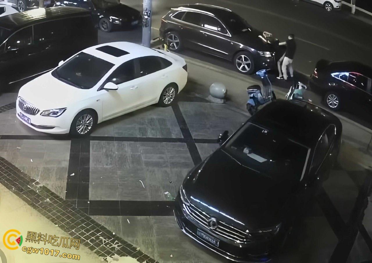 酒醉男女深夜在马路边，众目睽睽之下直接开始野战模式，饥渴母狗跪地口交，趴在引擎盖上掀裙后入打桩！  第5张