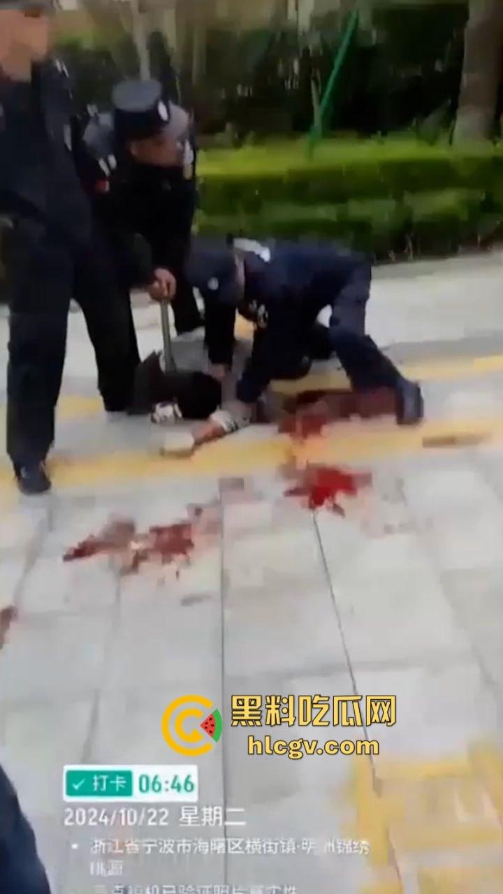 宁波海曙区一女子送孩子上学路上被人追砍 孩子的身受数刀 视频直击血腥现场  第7张
