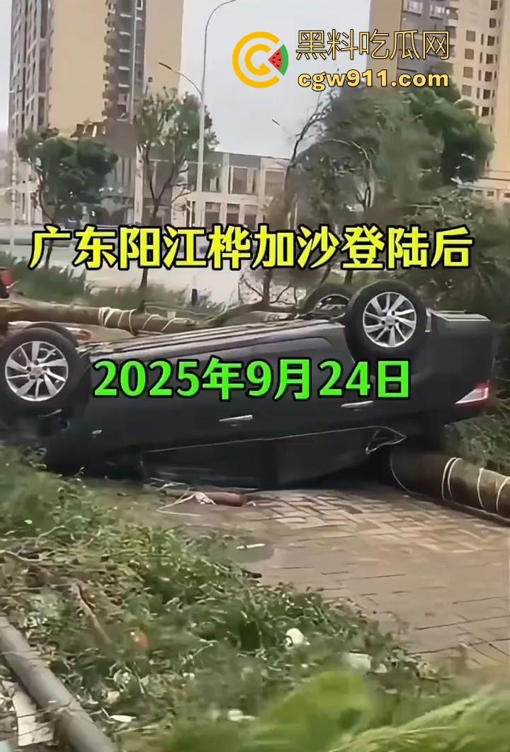 最强的超级台风【桦加沙】登陆阳江后的真实状况，到处都是被吹到的树玻璃，人类在大自然面前是多么渺小啊！  第1张