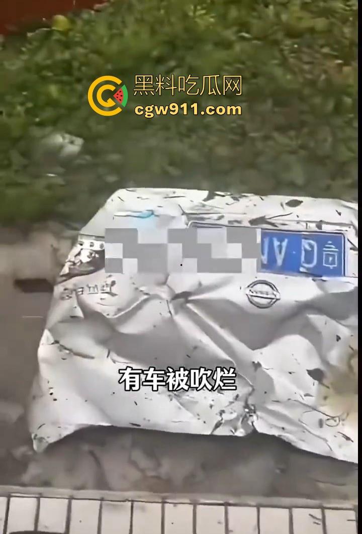 最强的超级台风【桦加沙】登陆阳江后的真实状况，到处都是被吹到的树玻璃，人类在大自然面前是多么渺小啊！  第4张