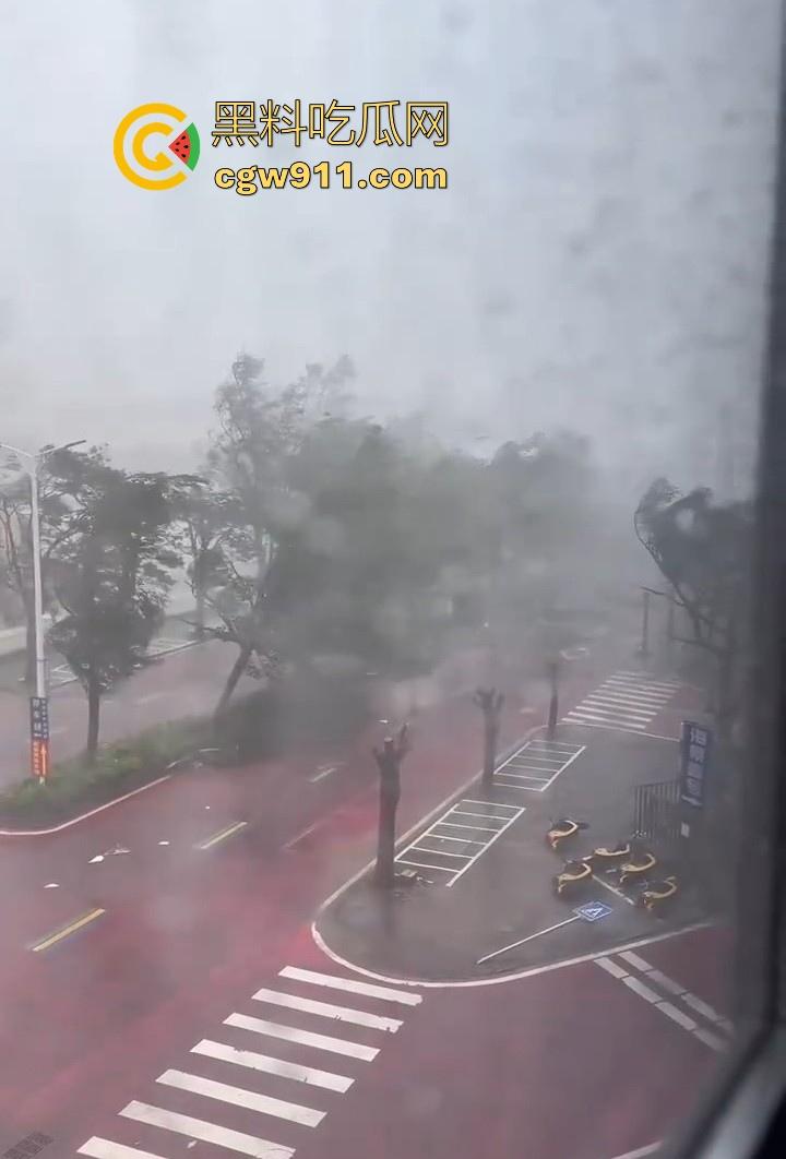 最强的超级台风【桦加沙】登陆阳江后的真实状况，到处都是被吹到的树玻璃，人类在大自然面前是多么渺小啊！  第13张