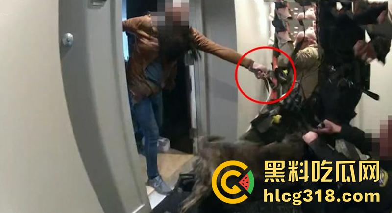 出国后都会变疯么？华裔女博士【李燕】，因不交物业费持刀和警察对峙，被清空弹夹当场射杀！  第3张