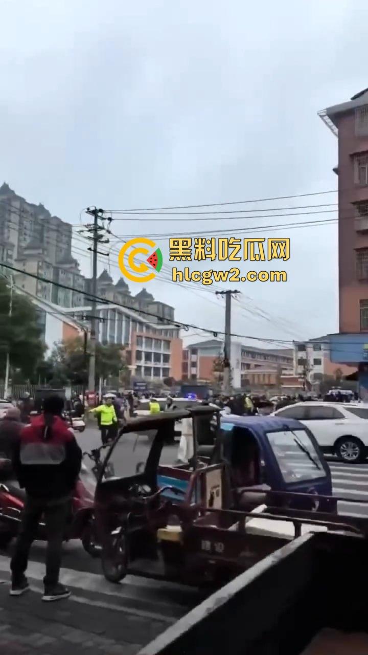 湖南常德鼎城区永安小学发生恶意撞人事件，多名学生受伤，三天两头又来报复社会疯了吗？  第14张