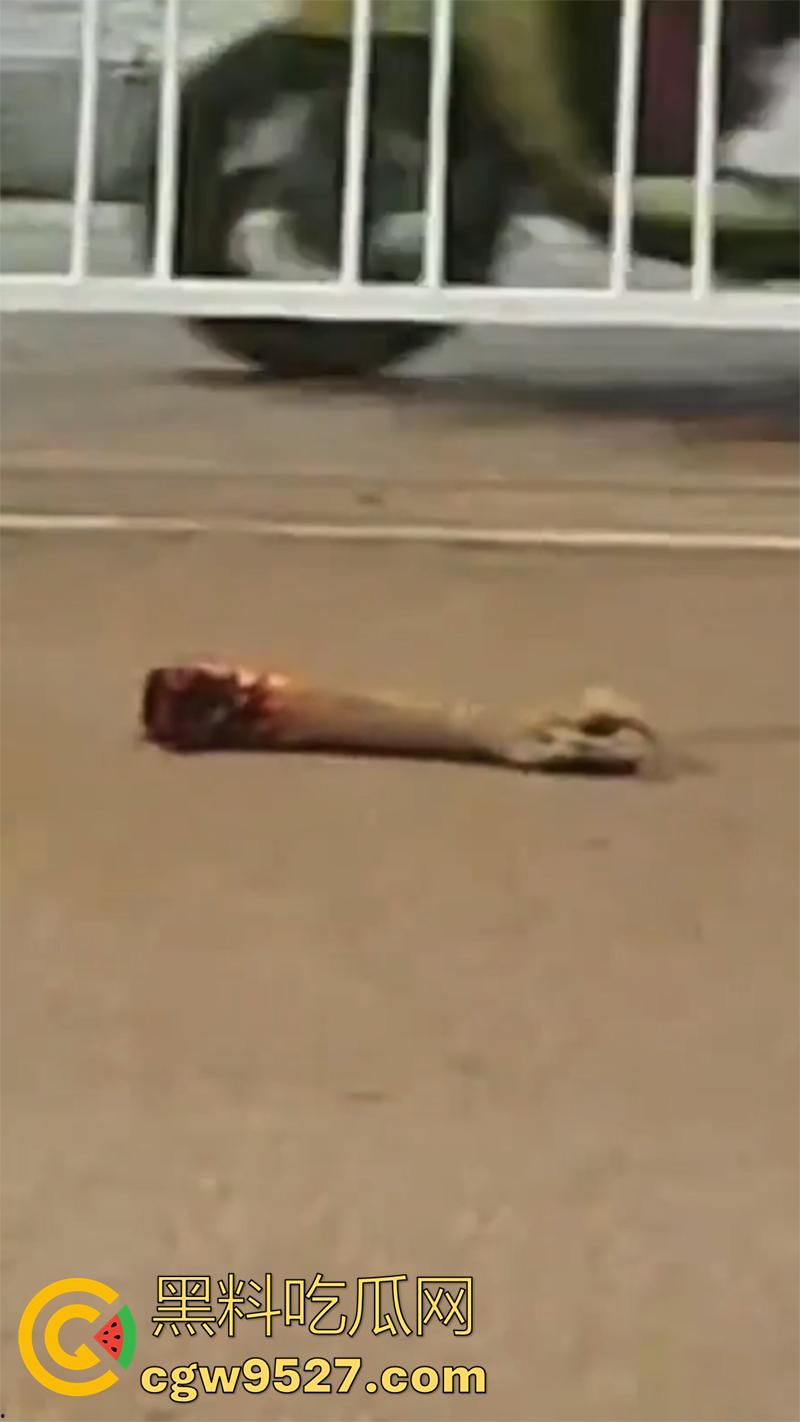 广西柳州鬼火少年，装逼失败翻车现场，自断一臂当场蒙逼，幸亏还留条命，估计再也不敢了吧！  第7张