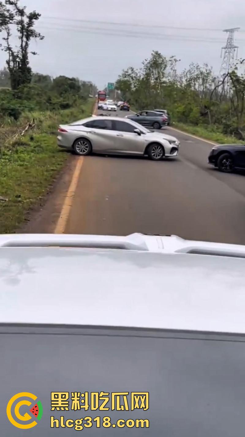 海南猛人路怒杀人，酒驾后与他人发生剐蹭，渴望私了被拒，将其撞倒反复碾压至其死亡！  第5张