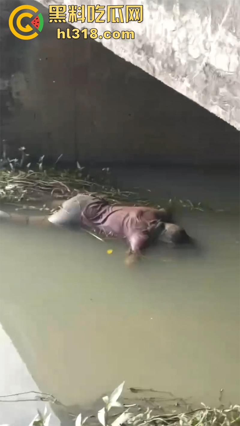 广东惠州恐怖事件，双月湾一女孩独自回家，竟被人尾随后失踪，尸体在河里被发现，疑似是人贩子！  第12张