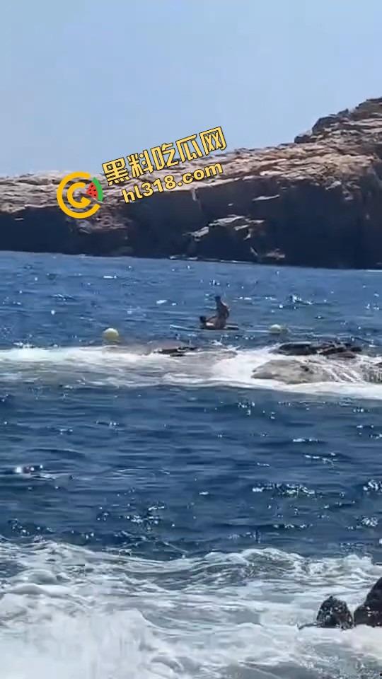 风雨交加浪涌如潮，在海中怒干鲍鱼，海风吹干精液，浪花上打在身上啪啪响，他说风雨中这点痛算什么！  第4张