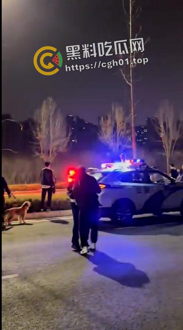 郑州精神小伙半夜鬼火炸街 挑衅交警 追后大混战 中国也有自己的佛罗里达州  第12张