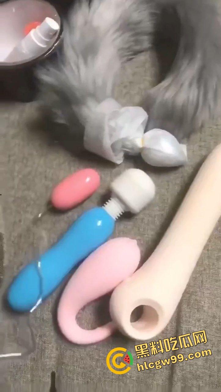 性瘾患者反差骚鸡『赵媚』玩具聊骚勾引小弟弟拍视频，遥控跳蛋刺激露出调教骚逼！  第7张