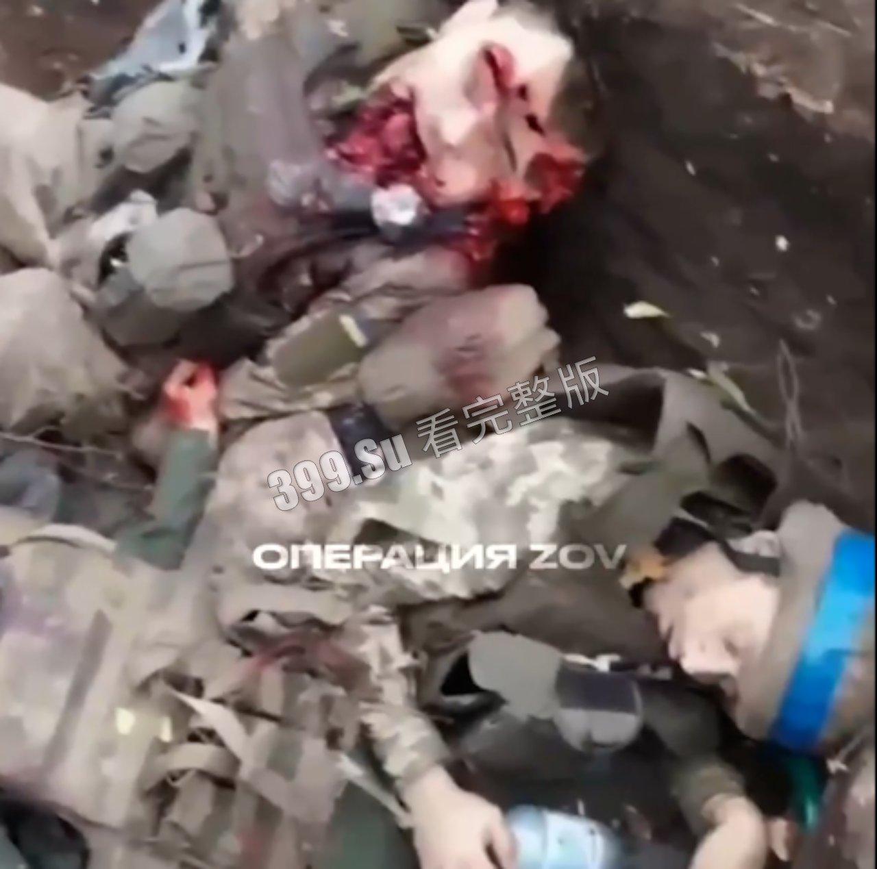 俄乌战争第一视角实录合集  现场只能用惨烈来形容 能留全尸的便算是幸运了 心理承受能力低的瓜友 勿点！！ 第4张