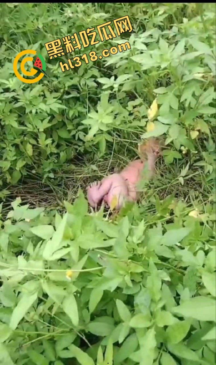 黑料正能量，福建福清市宏路公园发现一名弃婴，连脐带都没剪断，不幸中的万幸，得好心大娘救助！  第1张