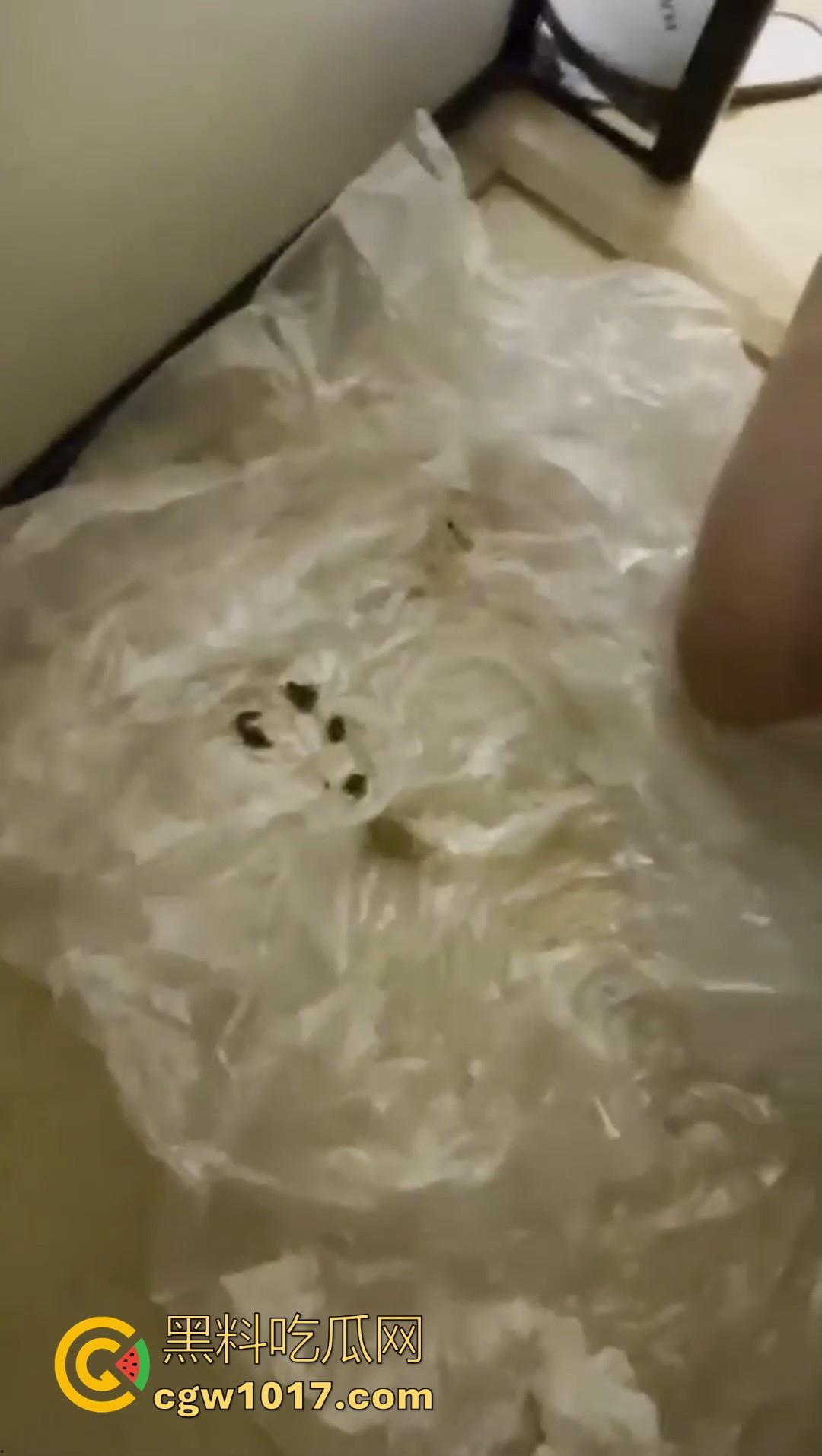 重口调教女奴！制黄金、吃厕纸、喝厕所谁、厕奴化调教，叫啥做啥，这女奴隶调教的可以，极其重口味！  第7张