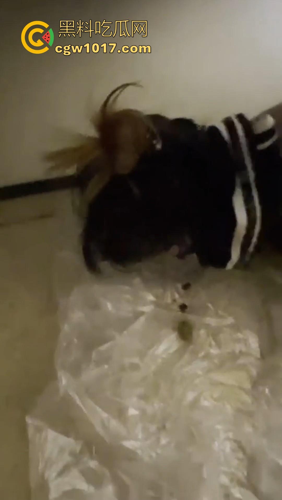 重口调教女奴！制黄金、吃厕纸、喝厕所谁、厕奴化调教，叫啥做啥，这女奴隶调教的可以，极其重口味！  第8张