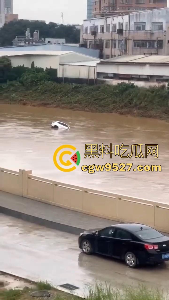 东莞一女司机开车掉河里，车辆像脱缰野马般直冲河中，送医院抢救无效死亡！  第9张
