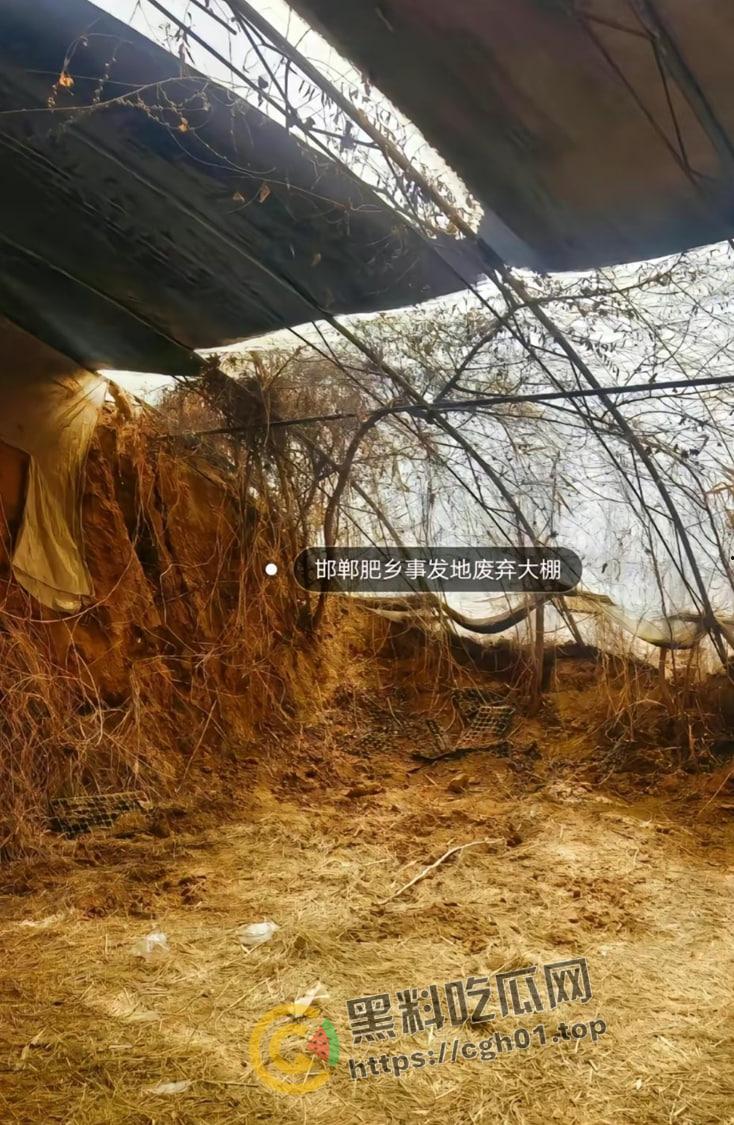 河北邯郸【王子耀】案件后续！相关直播间被封 疑似有家长协助 死者脑部CT流出被打稀烂 疑点重重  第3张