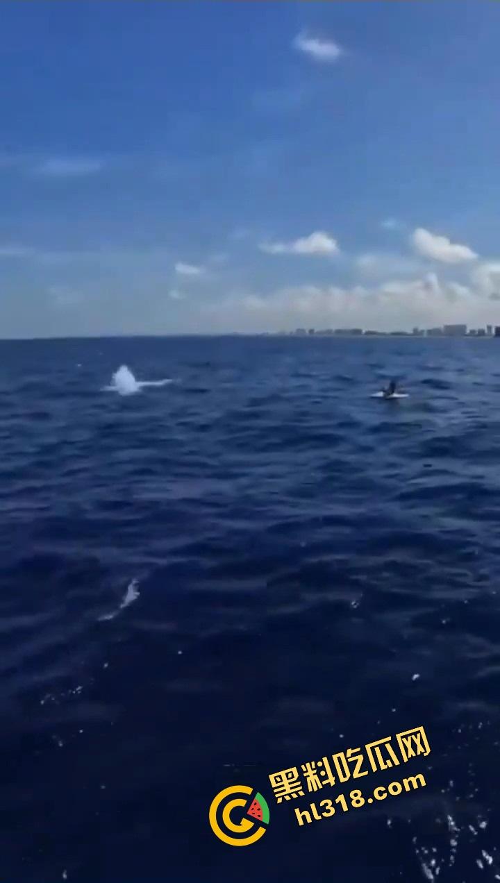 老外挑战大海漂流日逼，日到一半遇金枪鱼，鸡儿抽插手在抓鱼，打完炮还能吃活生鱼片，真正的野外求生！  第6张