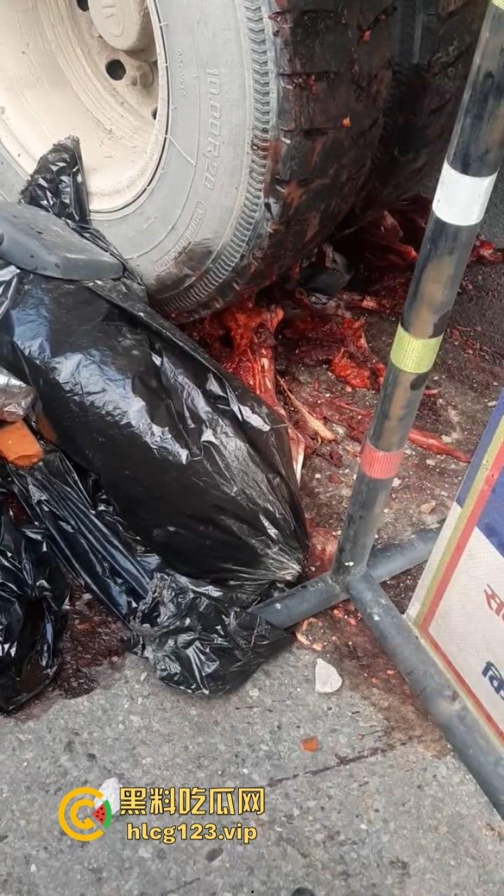 血腥慎点！太惨烈！尼泊尔一男子遭货车碾压拖行 “肠子都出来了！”  第8张