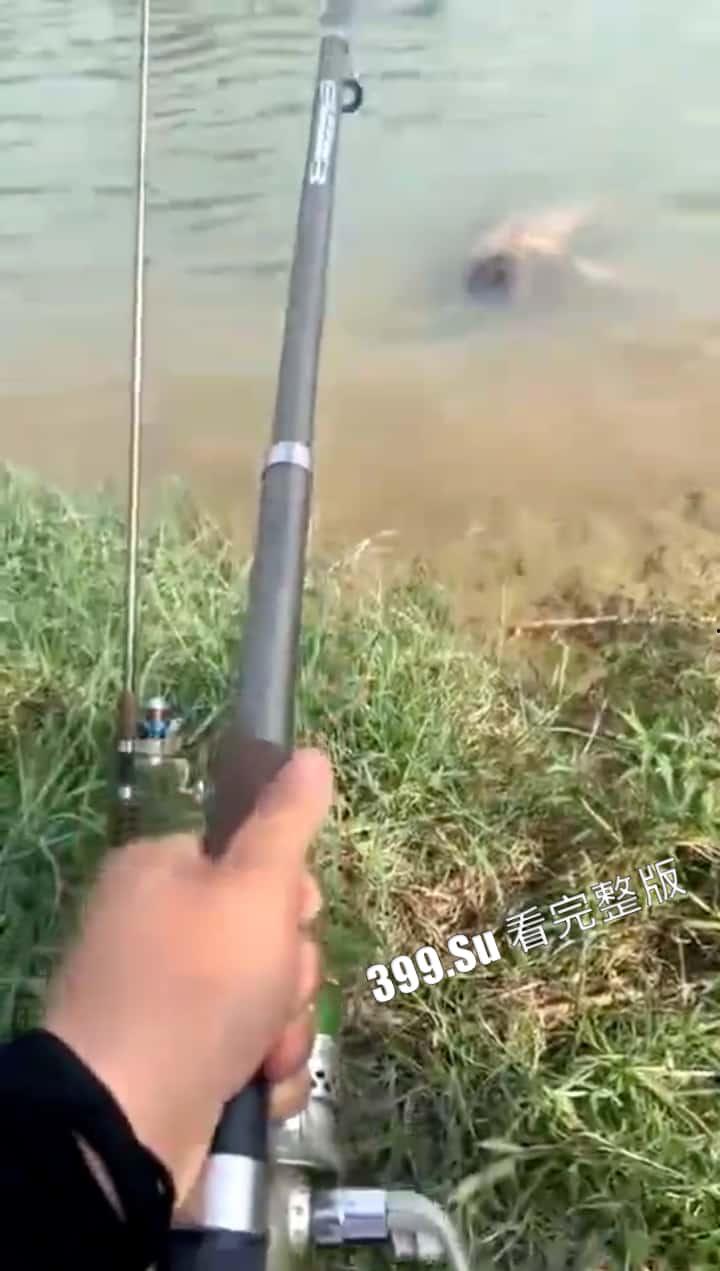 猎奇系列 人不能…至少不应该（十六）  第8张