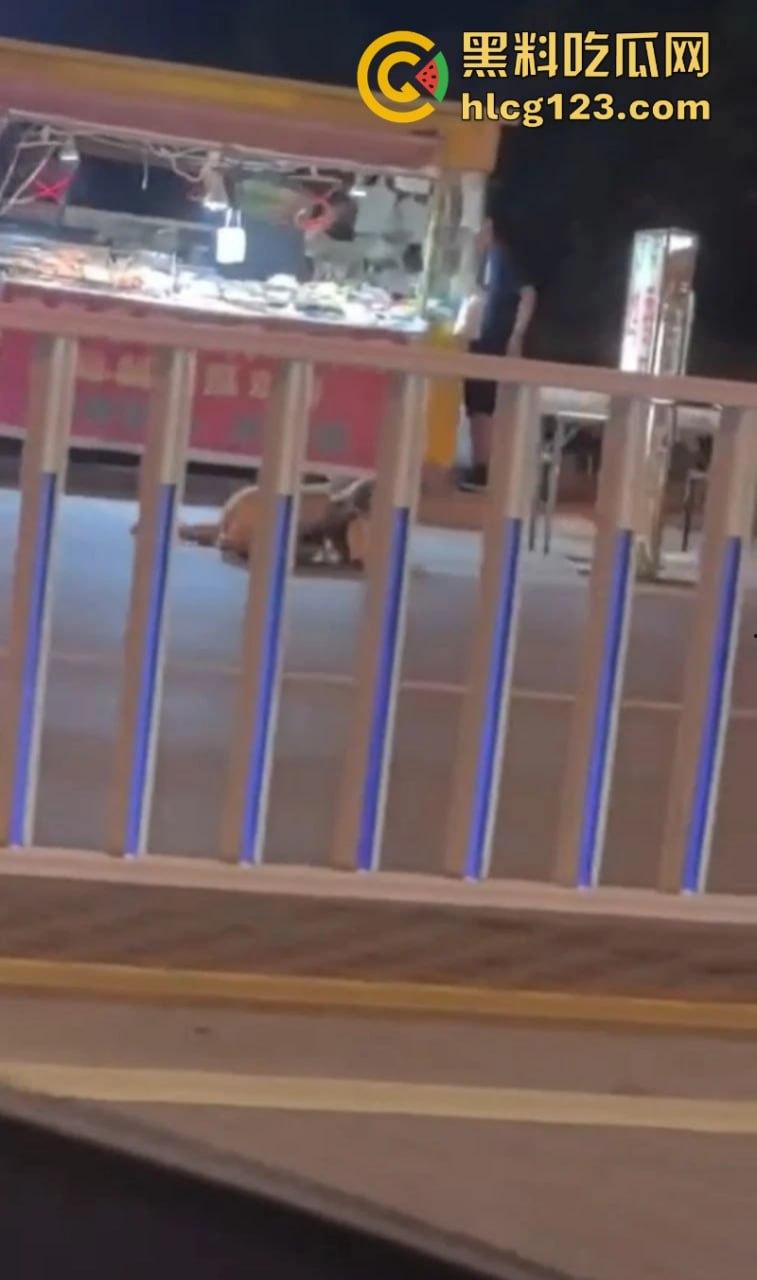 河北邢台 快手网红【吴媛媛】嗑药嗑嗨全裸大街爬行 裸奔求操视频疯传全网  第2张