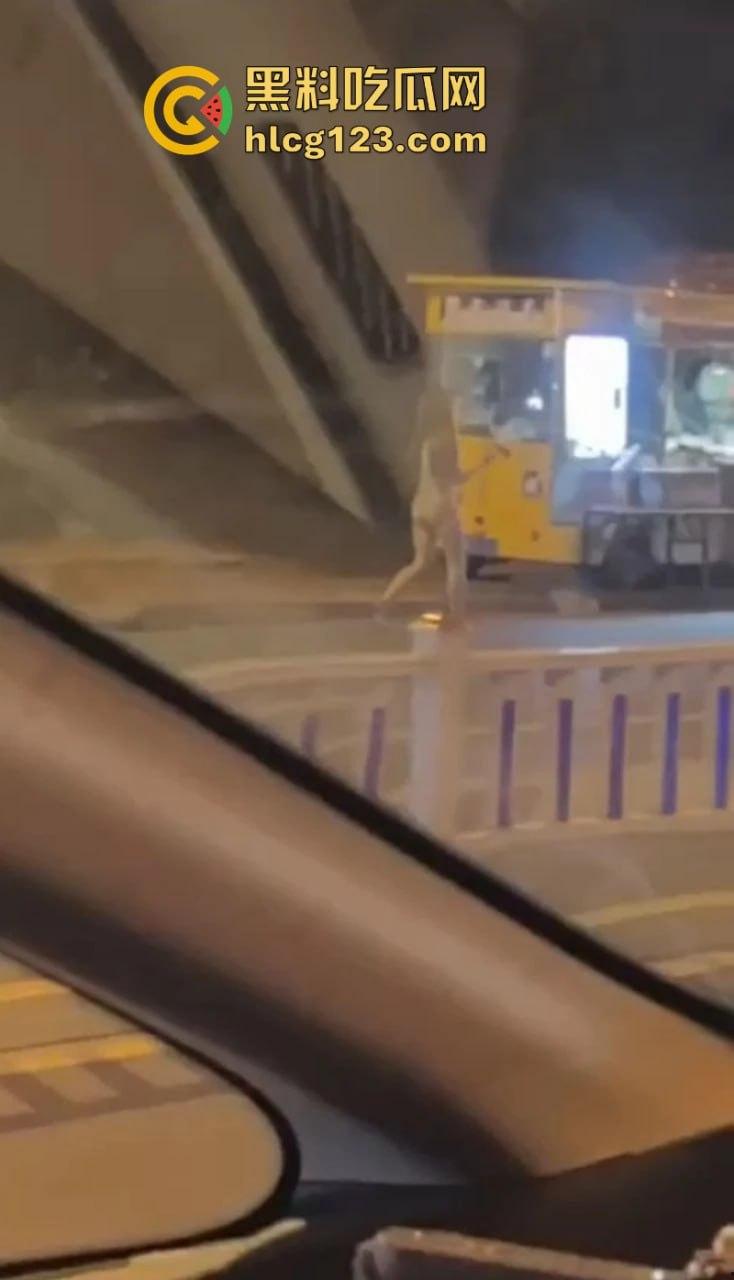 河北邢台 快手网红【吴媛媛】嗑药嗑嗨全裸大街爬行 裸奔求操视频疯传全网  第9张