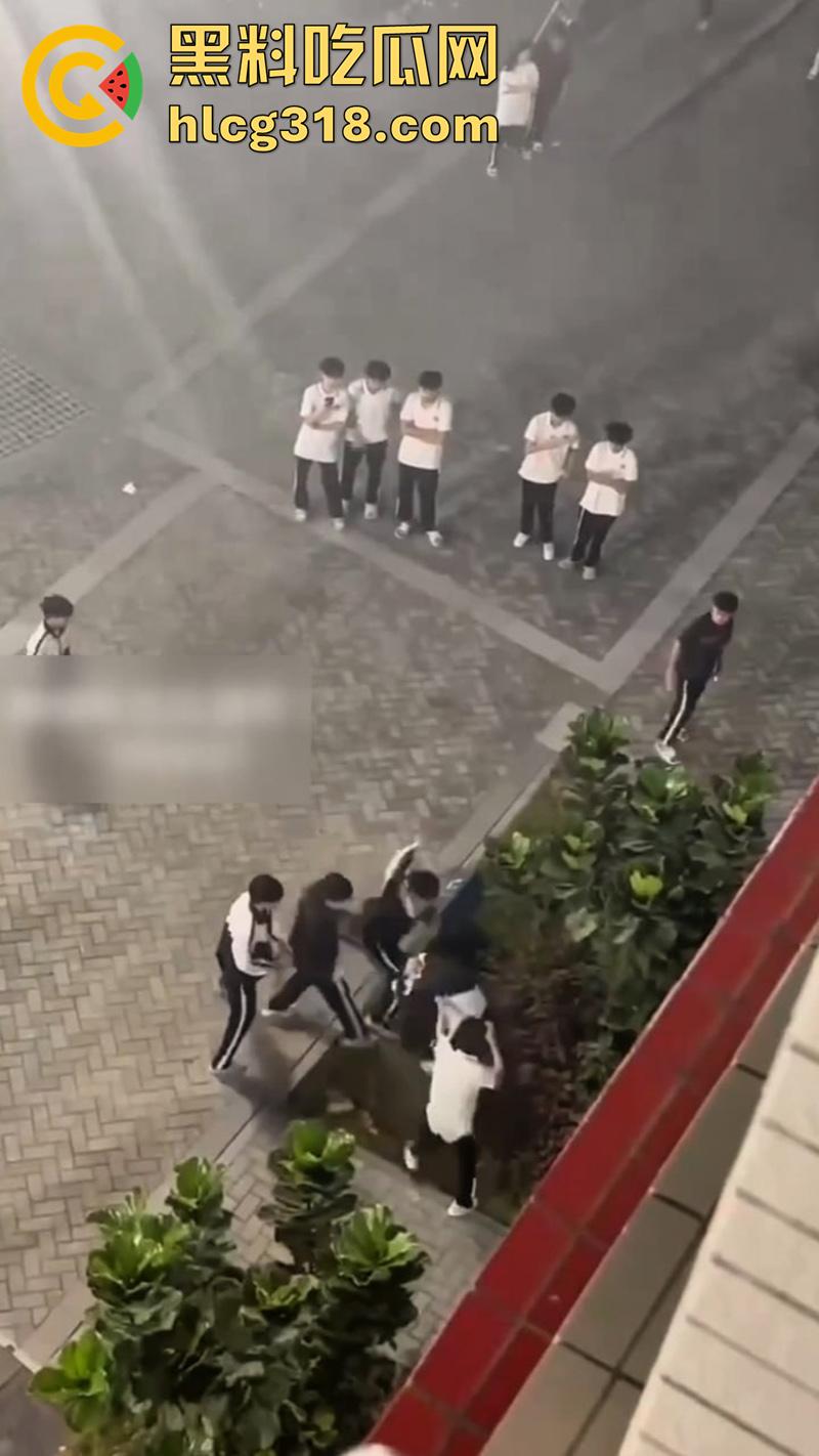 我拿你当兄弟你竟然操我妈？高中生把同学母亲给操怀孕了，儿子知道后直接在学校打起来了！  第5张