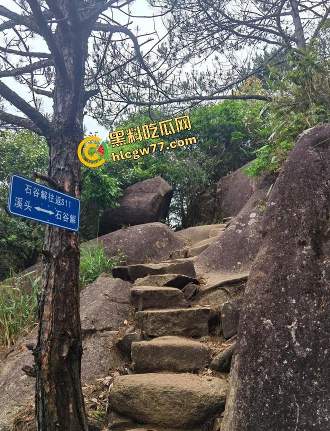 福建8岁男童邹某樽山中失踪，家属崩溃三日未眠，却有人借机发恐吓勒索短信孩子没找到，人性已经先烂透了！  第10张