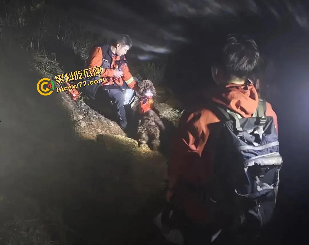 福建8岁男童邹某樽山中失踪，家属崩溃三日未眠，却有人借机发恐吓勒索短信孩子没找到，人性已经先烂透了！  第16张