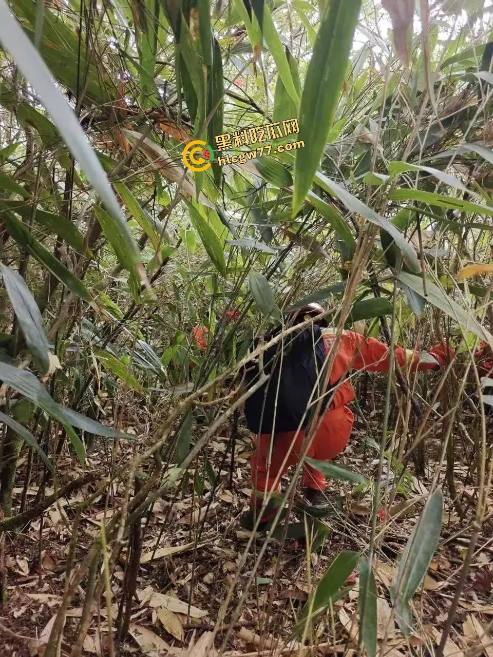 福建8岁男童邹某樽山中失踪，家属崩溃三日未眠，却有人借机发恐吓勒索短信孩子没找到，人性已经先烂透了！  第17张