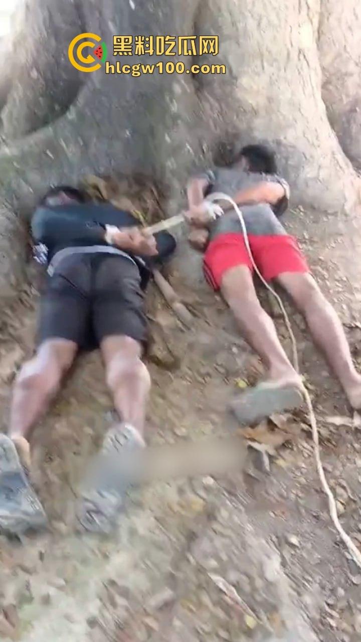 以色列与巴勒斯坦伊斯兰抵抗运动就加沙停火协议！双方又达成新的停火协议  第5张