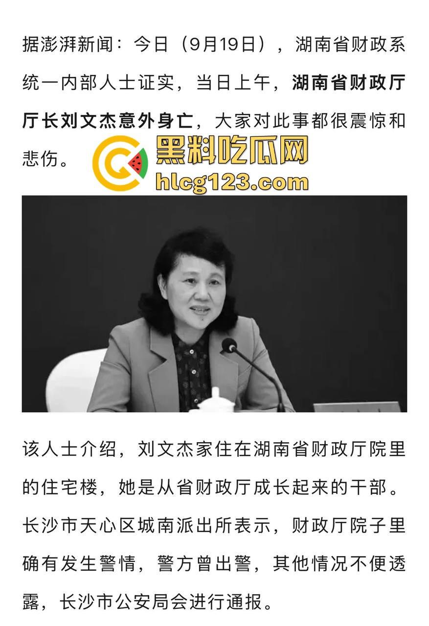 湖南财政厅长刘文杰离奇坠楼死亡！政协委员涉案，新闻被迅速封杀，真相成谜！  第5张