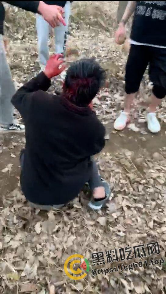 河南精神小伙霸凌同学 打的浑身是血求饶 头发被染红 河南不大 创造神话  第3张