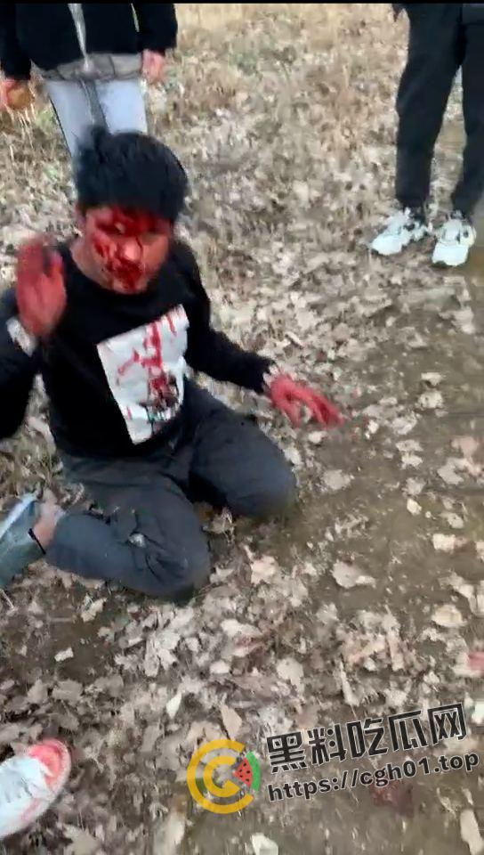 河南精神小伙霸凌同学 打的浑身是血求饶 头发被染红 河南不大 创造神话  第6张