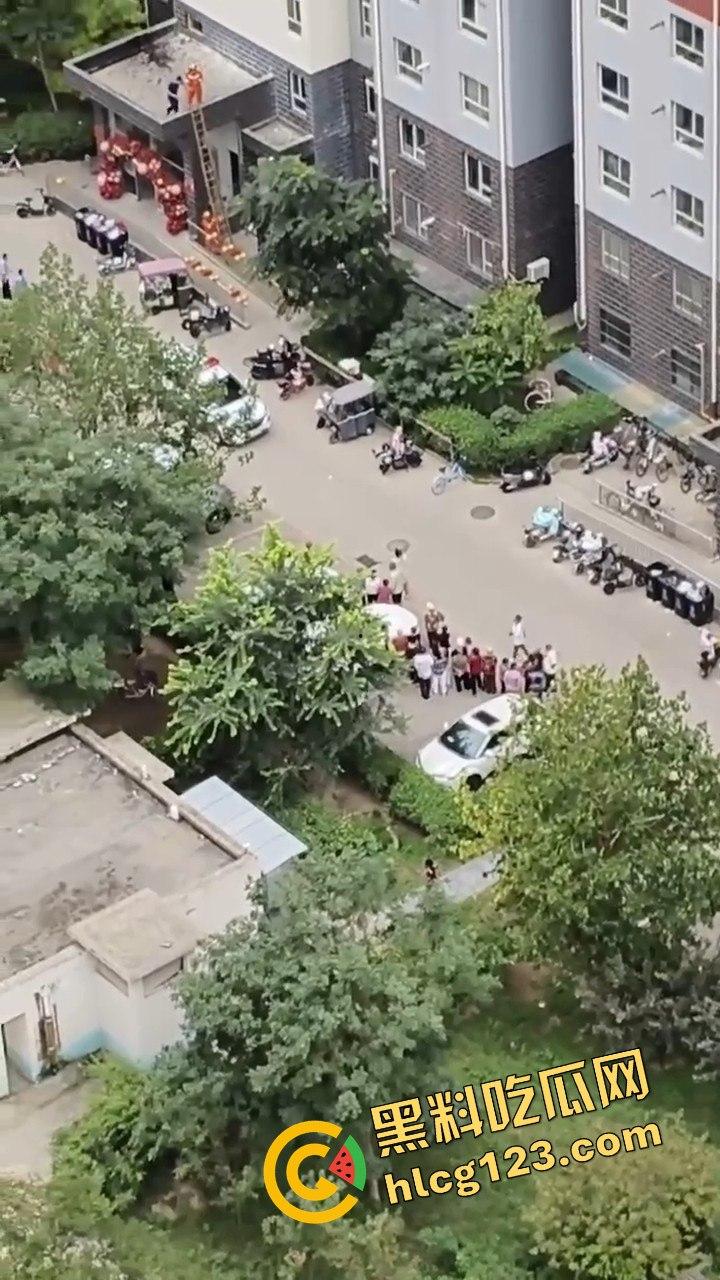 结婚当天邻居跳楼，喜事变悲剧，新人如何处理这场突如其来的困境？  第2张