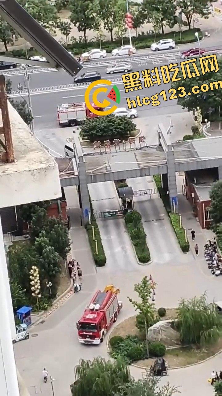 结婚当天邻居跳楼，喜事变悲剧，新人如何处理这场突如其来的困境？  第6张