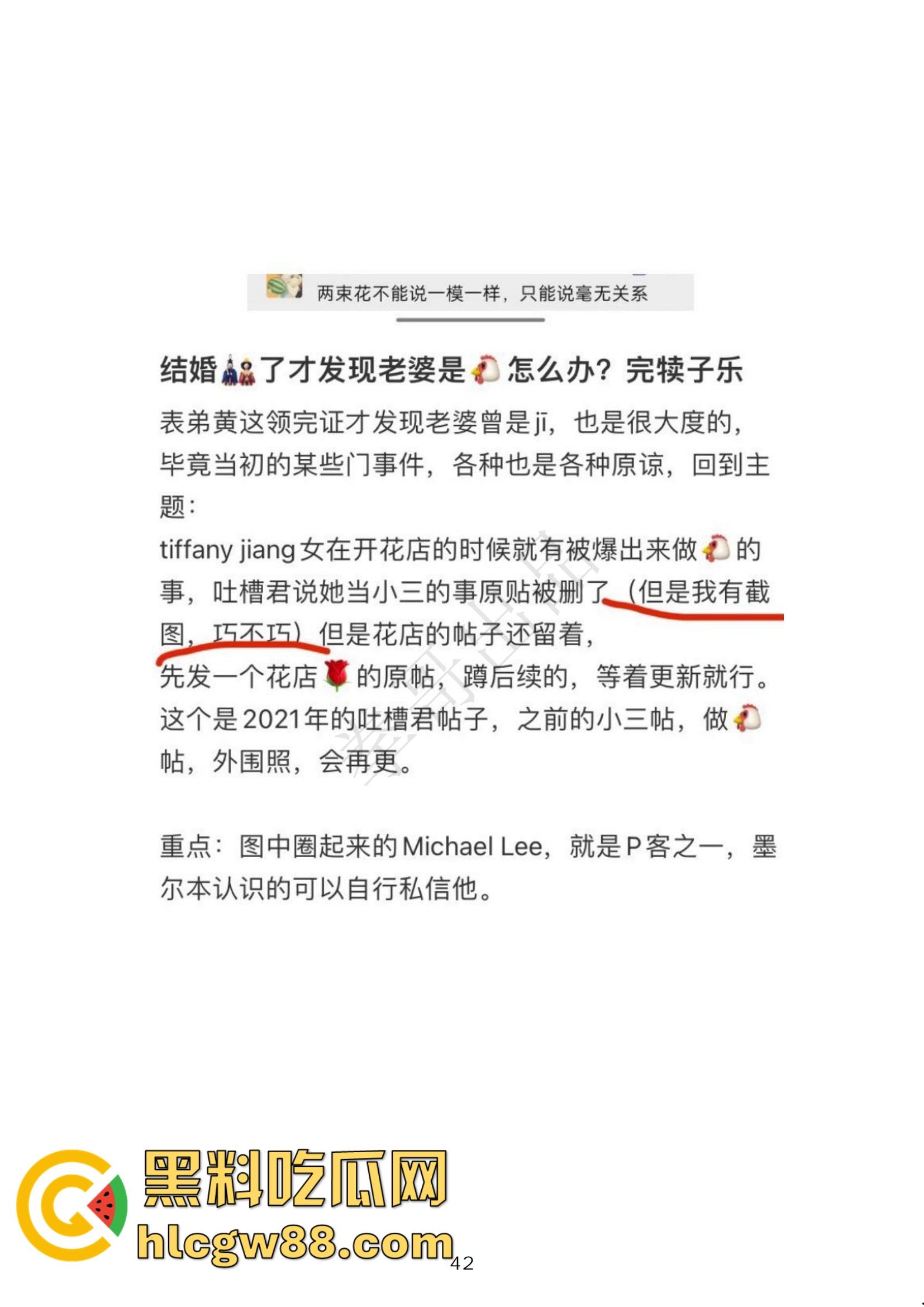 小红书网红Tiffany黑历史大起底，援交妹开服装店，床上功夫了得却被爆做鸡当小三，奉子成婚丢尽脸面！  第34张